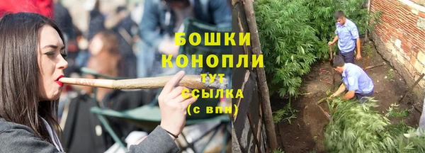 трава Каменногорск