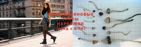 трава Каменногорск