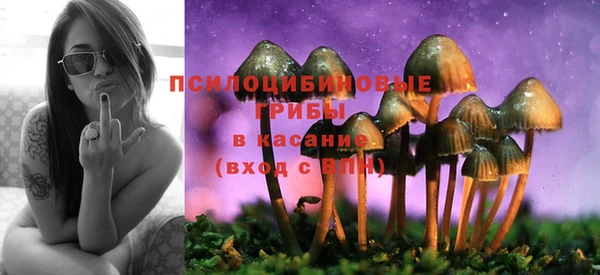 трава Каменногорск