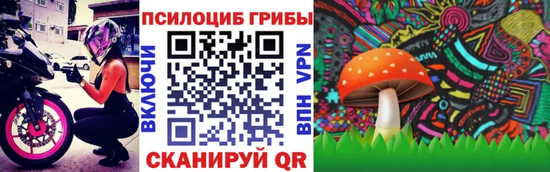 Галлюциногенные грибы GOLDEN TEACHER  Купить где  Мензелинск 
