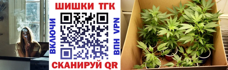 Купить  Мензелинск  Конопля сатива 